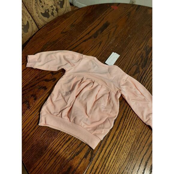 New Girl's 12/18 Month (100) Pink Grey Long Sleeve Shirt and Pants Set O… - Picture 3 of 7